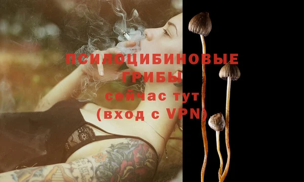 каннабис Волоколамск