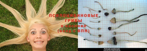 круглые Верея