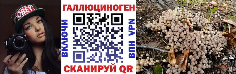 Псилоцибиновые грибы Psilocybine cubensis  Чишмы 